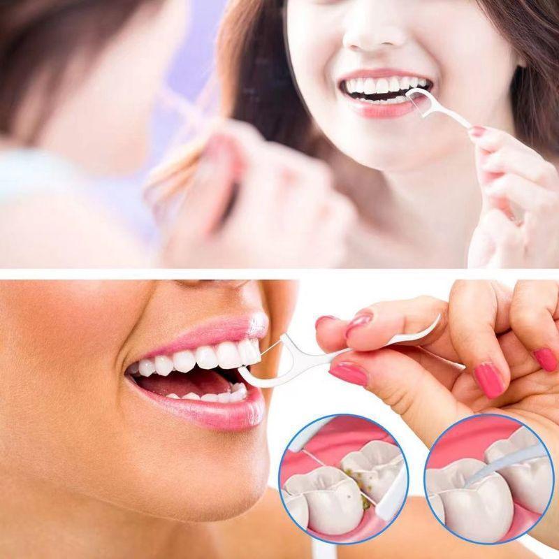 EvoSnow 30Pcs/Set Teeth Toothpicks Stick Dental Floss Flosser Picks Tooth Clean Oral Care